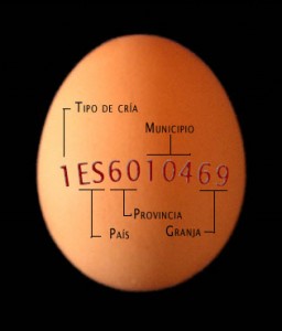 huevo-256x300.jpg